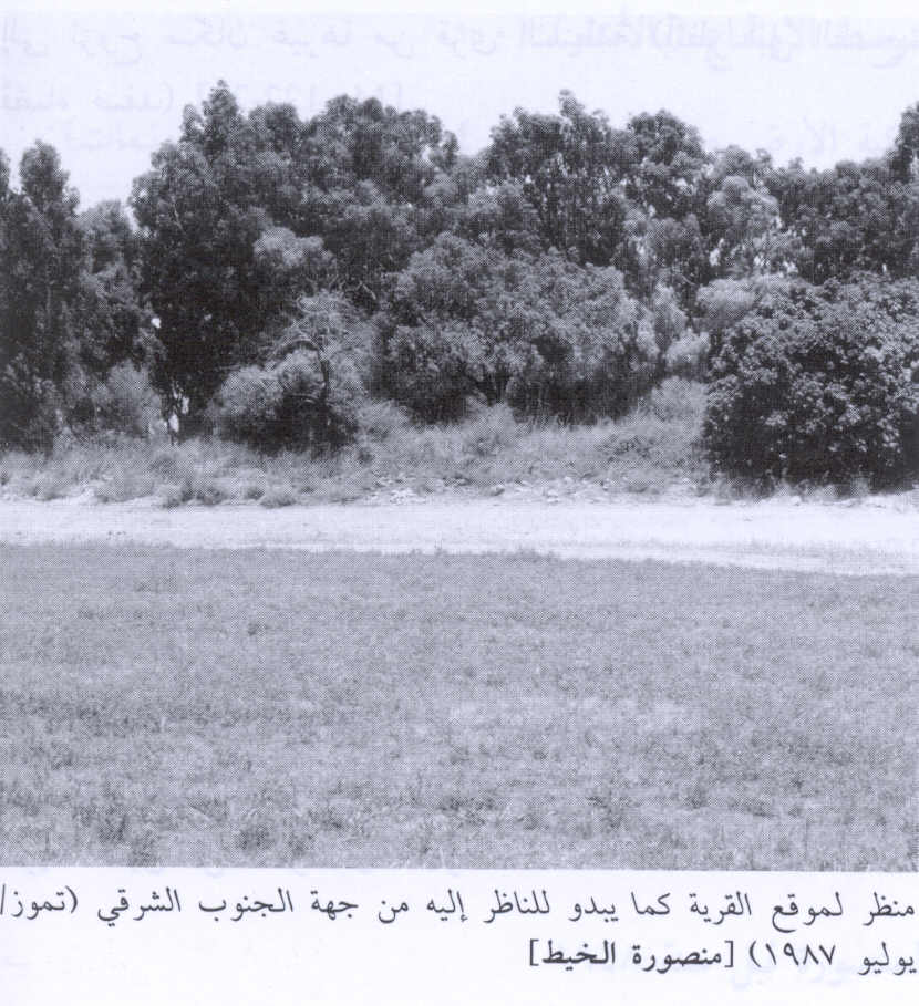 صورة لقرية منصورة الخيط - فلسطين: : منظر من الجهة الجنوبية الشرقية للقرية التي دمرها الصهاينة وطهروا سكانها عرقياً. 1987