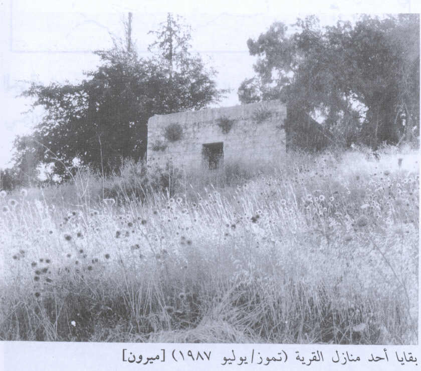 صورة لقرية ميرون - فلسطين: : احدى بيوت القرية المغتصبة. 1987