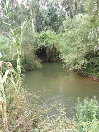 Picture for al-'Abisiyya Village - Palestine: : العبسي نهر بانياس