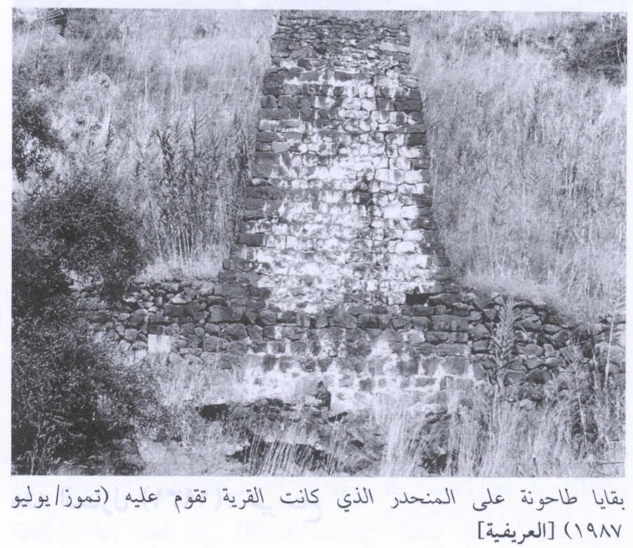 صورة لقرية العريفية - فلسطين: : أنقاض طاحونة القرية المدمرة. 1987