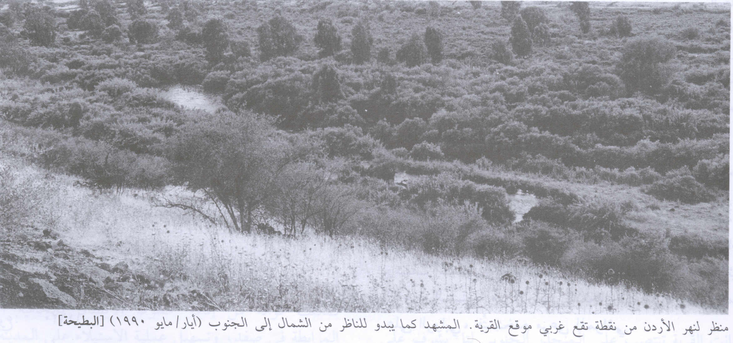 صورة لقرية البطيحه - فلسطين: : منظر لنهر الاردن في الاتجاه الجنوبي. الصورة اُخذت من منطقة موجودة غربي القرية، اُنقر الصورة لتكبيرها. 1990