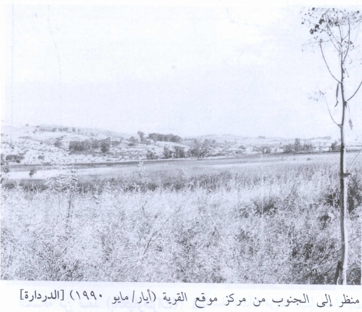 صورة لقرية الدردارة - فلسطين: : منظر في الاتجاه الجنوبي من مركز القرية المدمرة والمطهرة عرقياً، 1990.