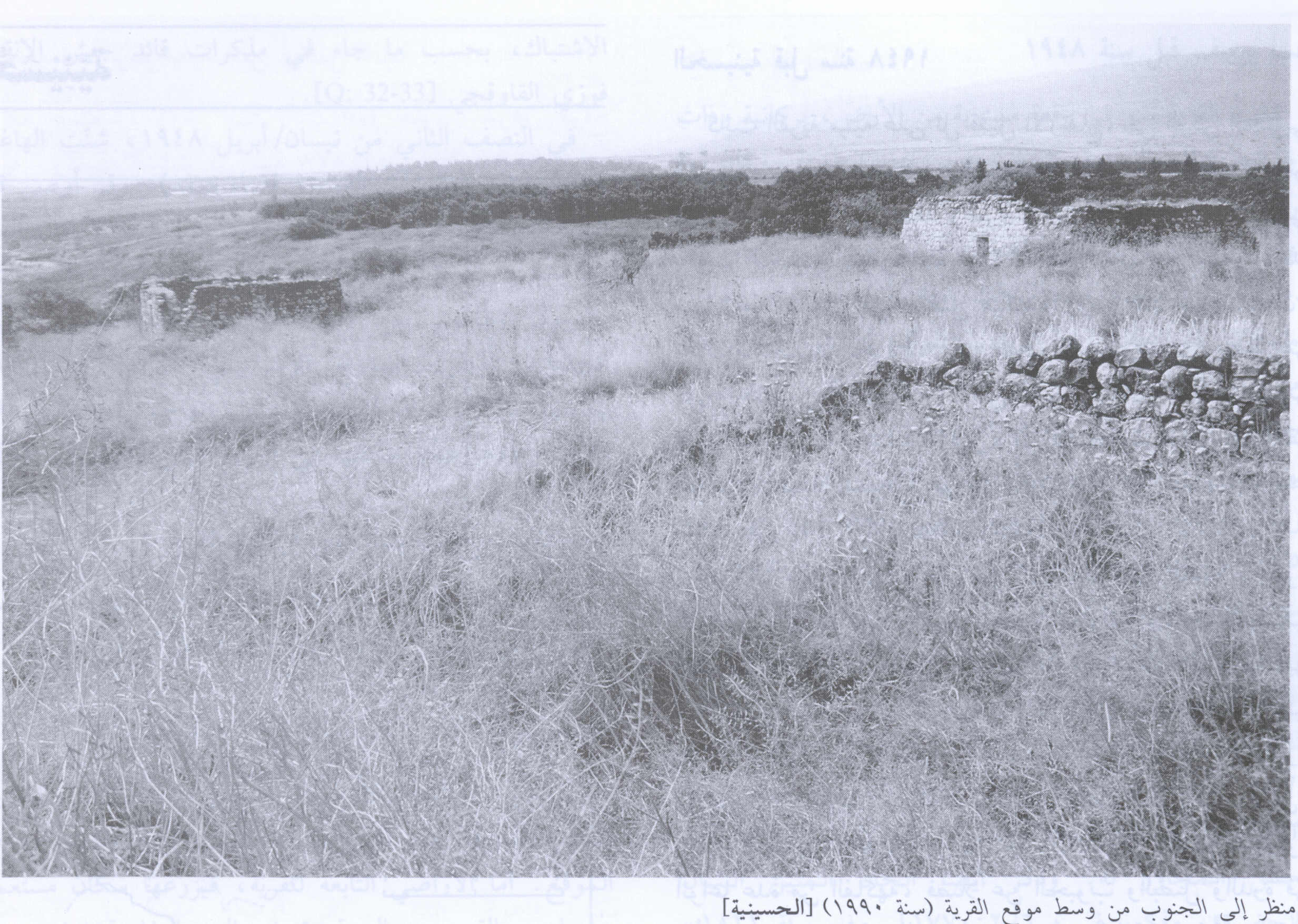 صورة لقرية الحسينية - فلسطين: : منظر من مركز القرية في الاتجاه الجنوبي، 1990. أطلال بيوت القرية المدمرة واضحة.