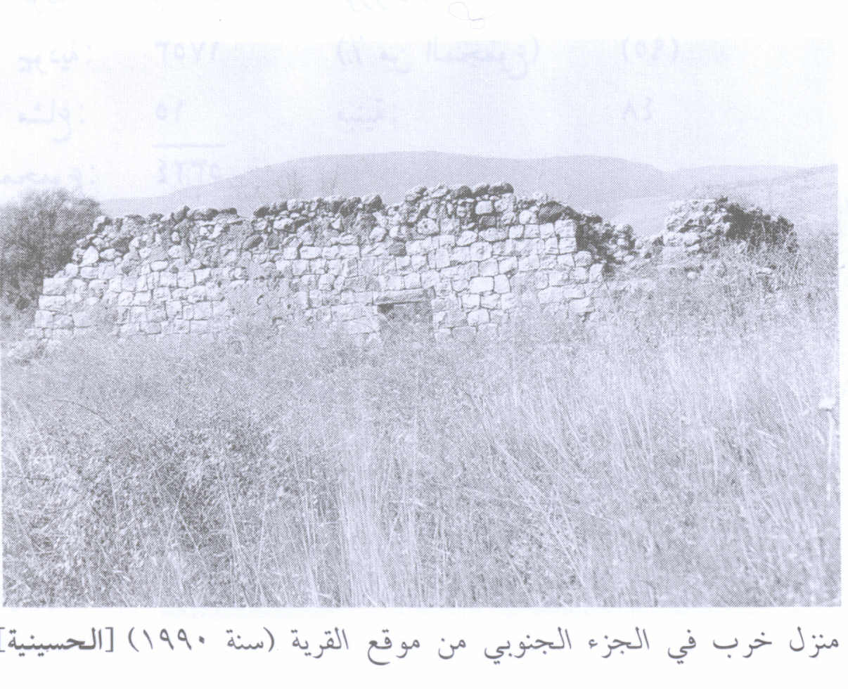 صورة لقرية الحسينية - فلسطين: : أطلال بيت في القرية المدمرة في الجهة الجنوبية. 1990