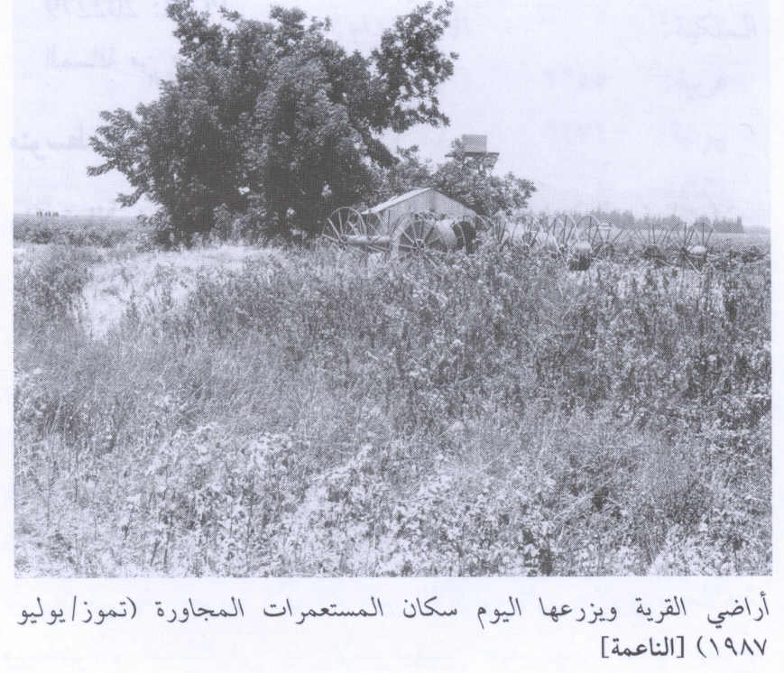 صورة لقرية الناعمة - فلسطين: : منظر عام للاراضي المحيطة. 1987