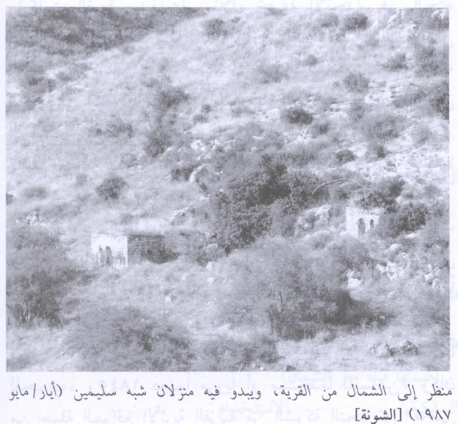 صورة لقرية الشونة - فلسطين: : منظر في الاتجاه الشمالي للقرية التي دمرها الصهاينة وطهروا سكانها عرقياً، ويظهر بيتين لم يدمران . 1987