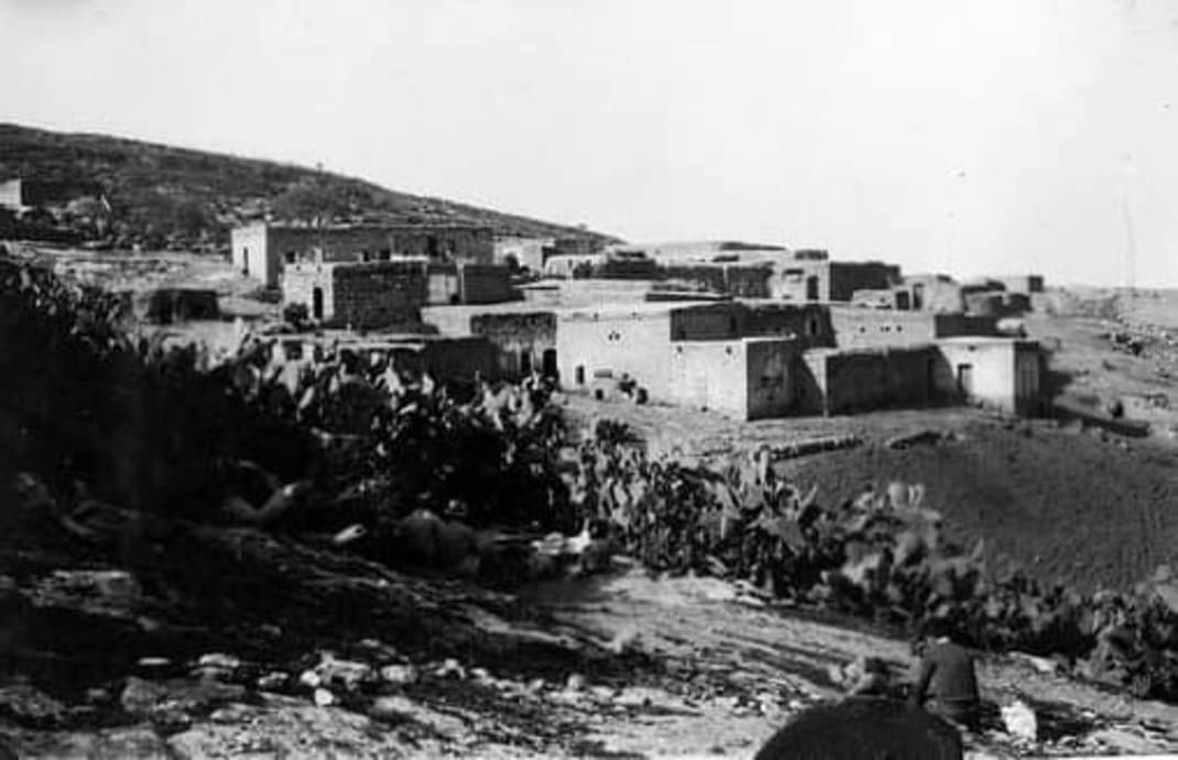 صورة لقرية نمرين - فلسطين: : منظر عام للقرية قبيل النكبة