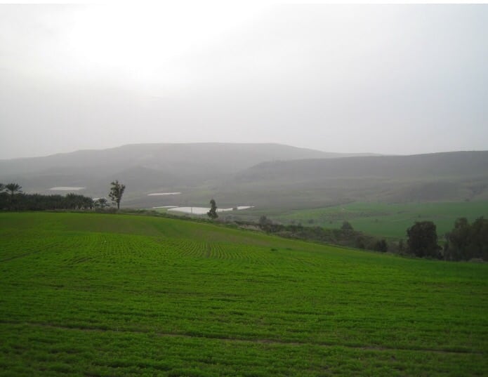 Picture for al-Manshiyya Village - Palestine: : اراضي القريه