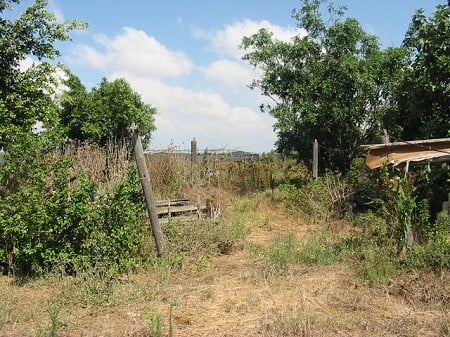 Picture for Wadi Qabbani Village - Palestine: : وادي القباني