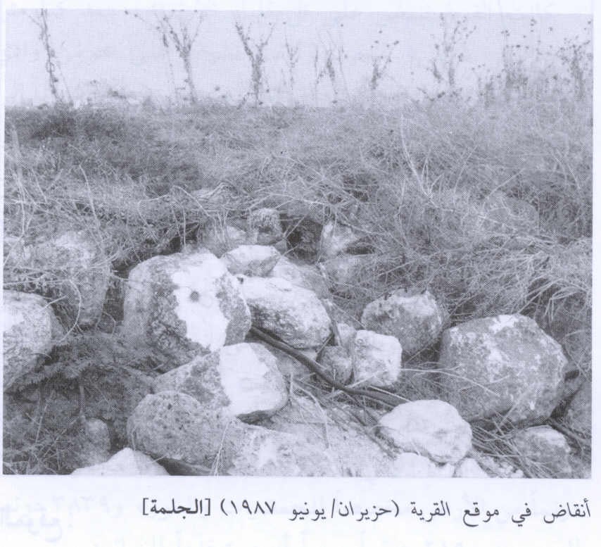 Picture for al-Jalama Village - Palestine: : Rubble on the village site, 1987