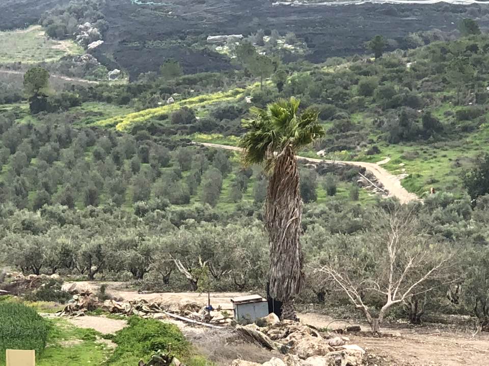 Picture for Abu Shusha Village - Palestine: : That is how the 