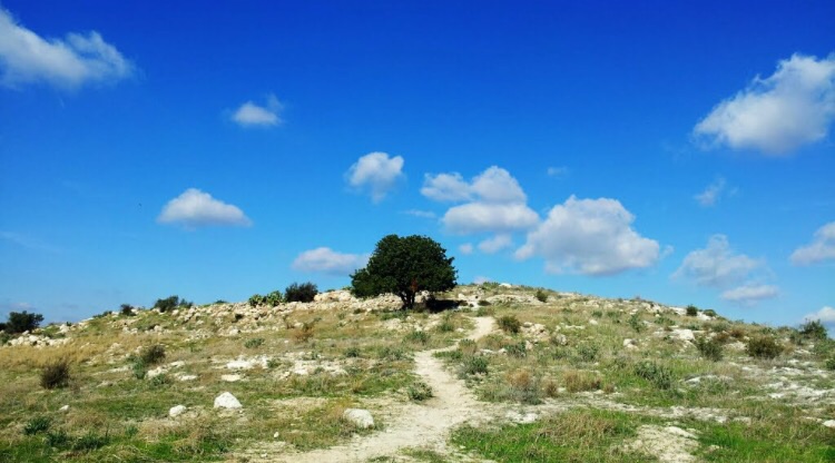 Picture for Barfiliya Village - Palestine: : موقع القريه