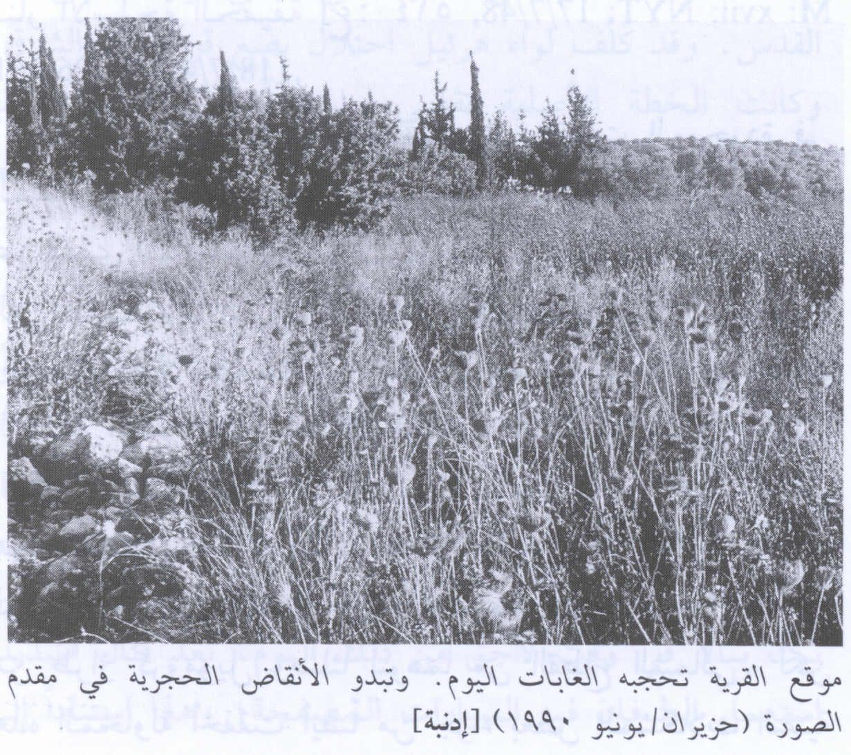 صورة لقرية إدنبة - فلسطين: : منظر لموقع القرية التي دمرها الصهاينة وطهروا سكانها عرقيا، 1990. أطلال دمار بيوت القرية في مقدمة الصورة.