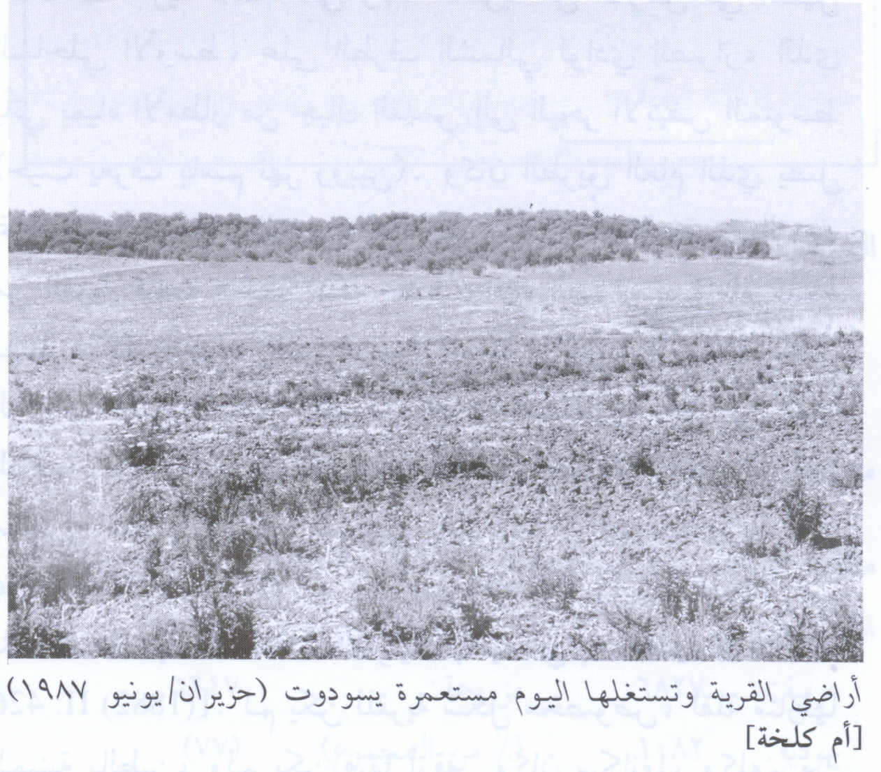 صورة لقرية ام كلخة - فلسطين: : منظر لاراضي القرية المغتصبة. 1987