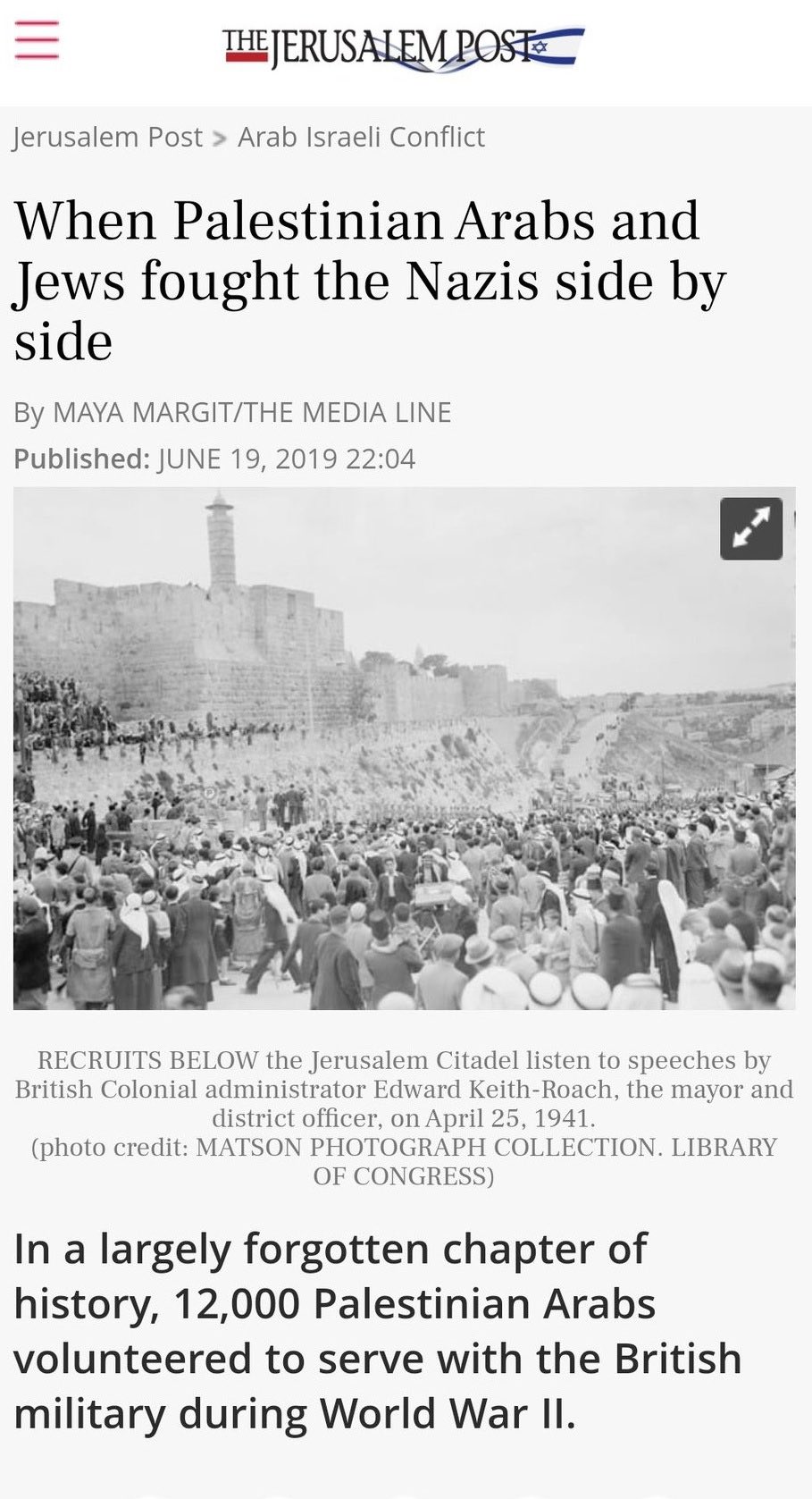 JPOST 12k Palestinians Fought The Nazis During WWII